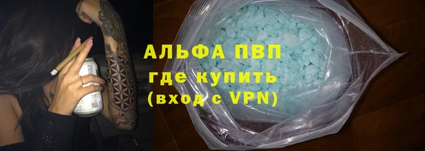 стаф Алексин