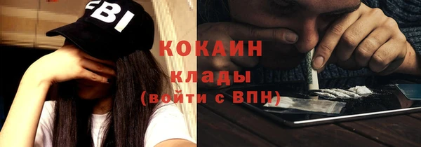 стаф Алексин