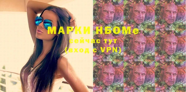 стаф Алексин