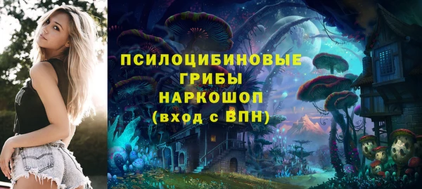 скорость Алзамай