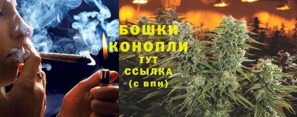PSILOCYBIN Алексеевка