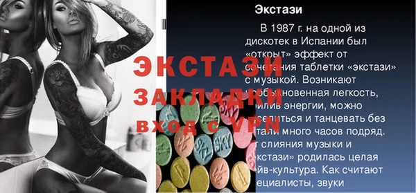 стаф Алексин