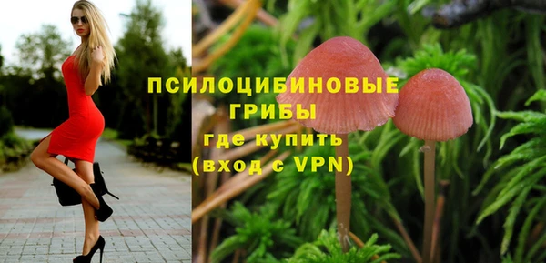 стаф Алексин