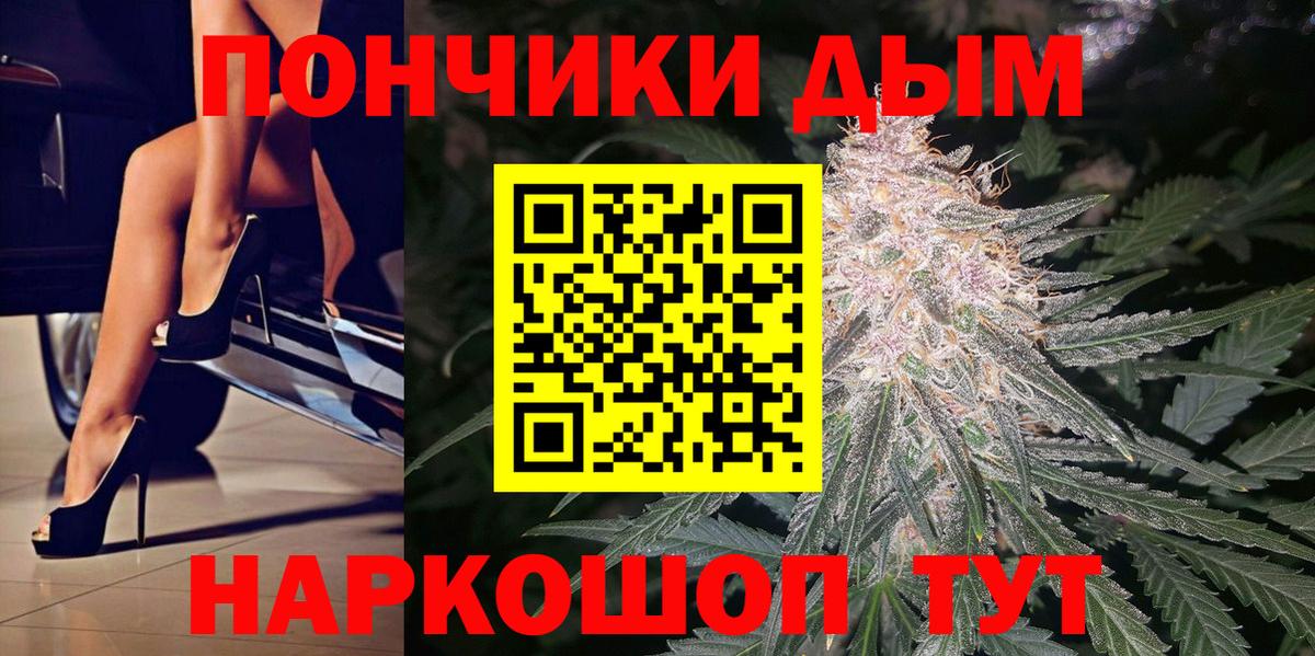 Конопля ГИДРОПОН  Вход с VPN  Бошки Шишки Ganja  Протвино  Шишки марихуана индика 